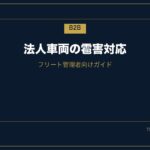 hail-damage-fleet-management