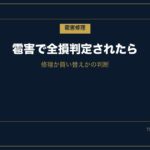 雹害 損傷 total loss 写真