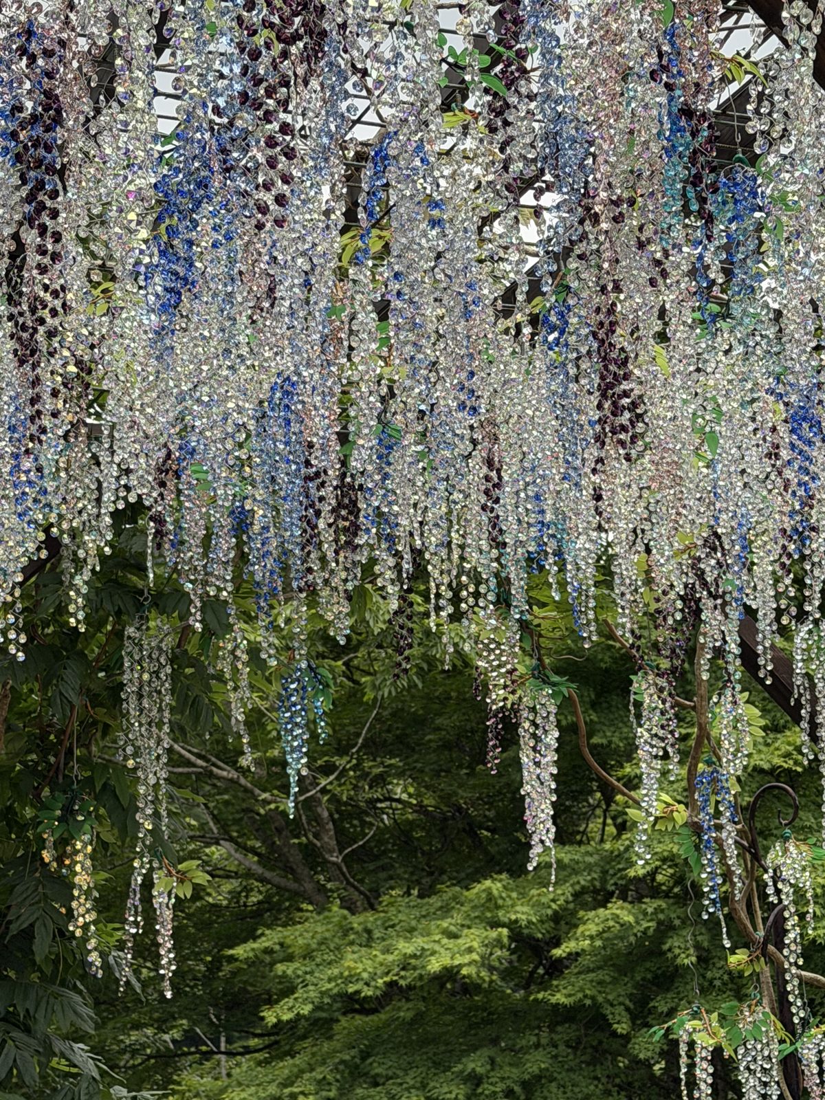 木々の間にきらめくガラスの回廊