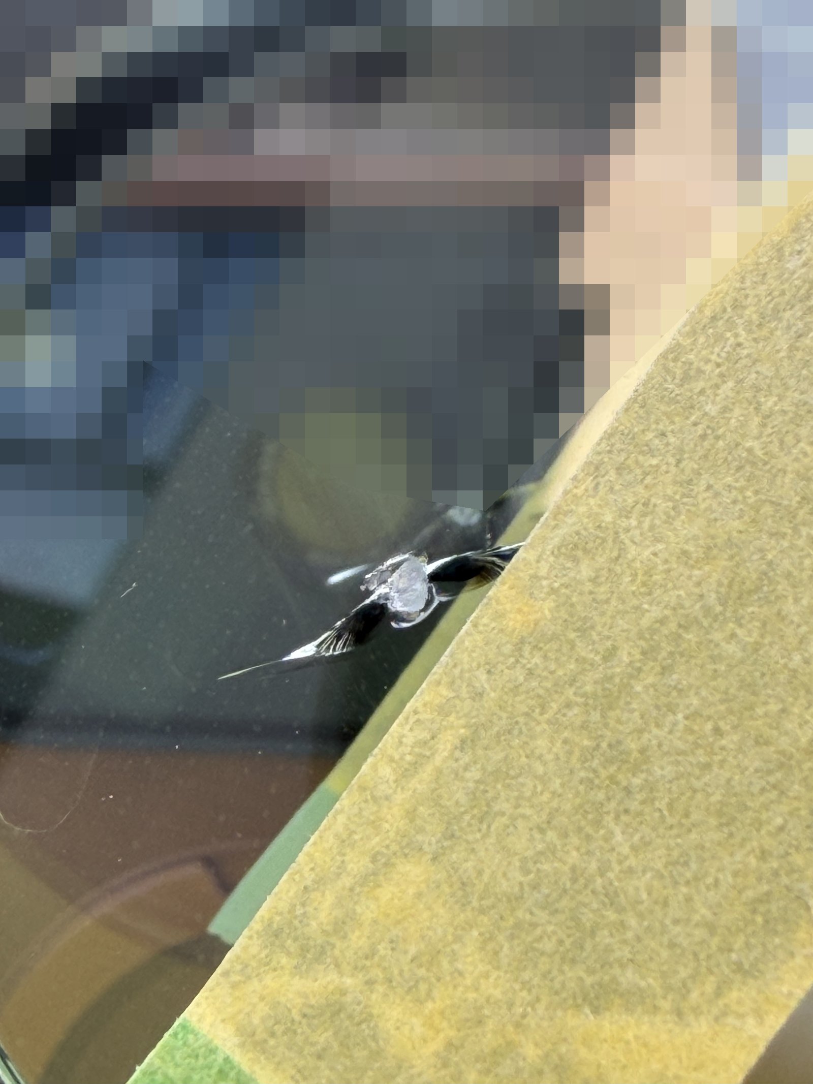 ドリルでヒビをつなげ、隣の小さい割れの打撃点をマスキングテープで塞いだ施工直前の状態